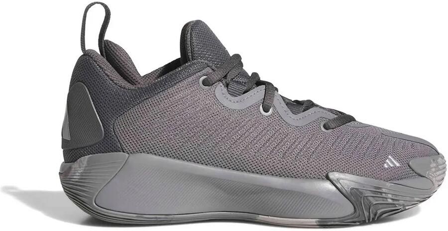 Adidas Initiation Junior Basketbalschoenen Grijs Kinderen