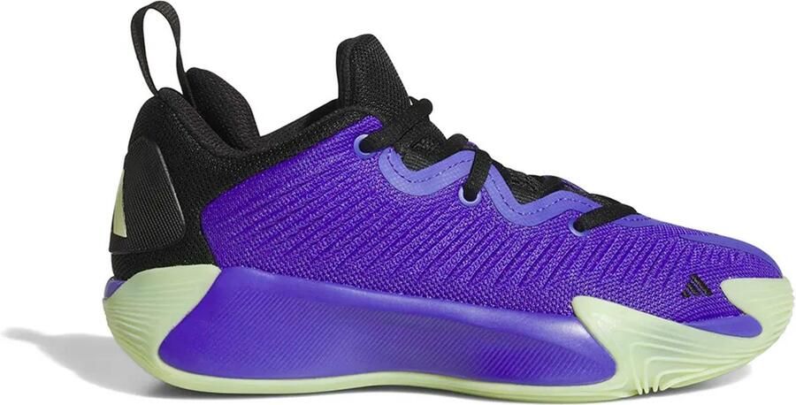 Adidas Initiation Junior Basketbalschoenen Paars 1 2 Kinderen