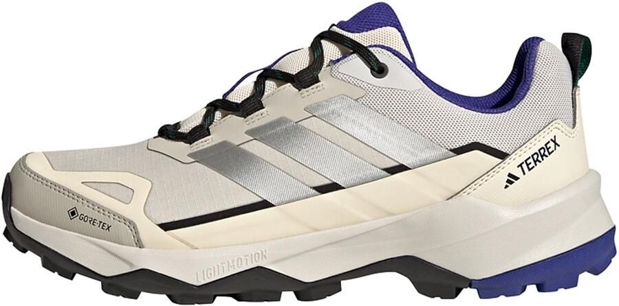 Adidas Terrex Skychaser Ax5 Gore-Tex Hikingschoenen Heren Beige