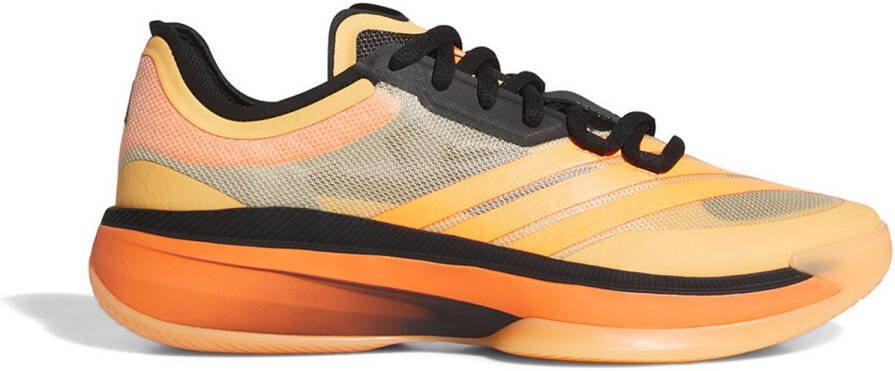 Adidas Adizero Select 2.0 Low Basketbalschoenen 1 3 Man