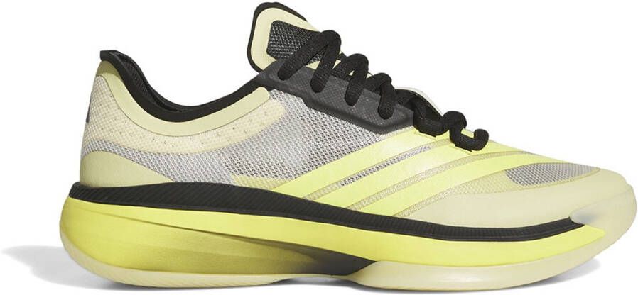 Adidas Adizero Select 3.0 Basketbalschoenen Geel Man