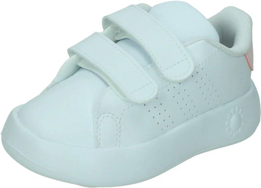 Adidas Sportswear Advantage CF sneakers wit roze Synthetisch 22
