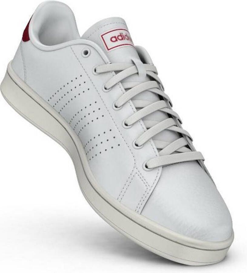 adidas Advantage sneakers heren wit rood