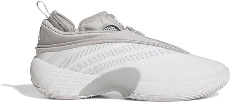 Adidas D.o.n Issue 7 Basketbalschoenen Grijs 2 3 Man