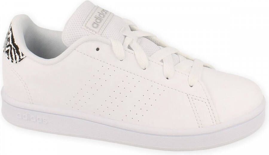 Adidas Sportswear Advantage Schoenen