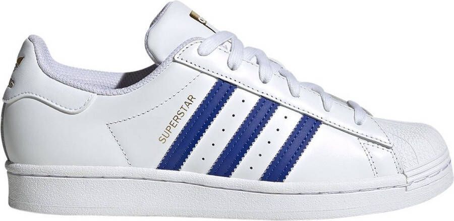 Adidas ORIGINALS Superstar Sneakers Ftwr White Semi Lucid Blue Gold Metalic Dames