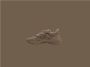 Adidas Originals Ozweego sneakers zand bruin - Thumbnail 3
