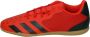 Adidas Performance Predator Freak .4 In Sala De schoenen van de voetbal Mannen rood - Thumbnail 4
