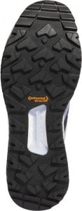 Adidas Performance Terrex Free Hiker C.Rdy W Wandelschoenen Vrouwen Blauwe