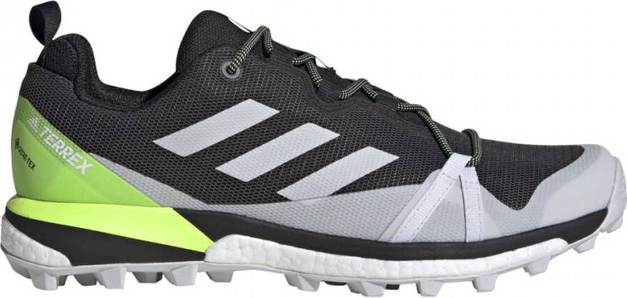 Adidas Performance Terrex Skychaser Lt Gtx Wandelschoenen Mannen Zwarte