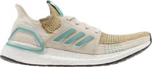 Adidas Performance Ultraboost 19 Hardloopschoenen Mannen Kastanje