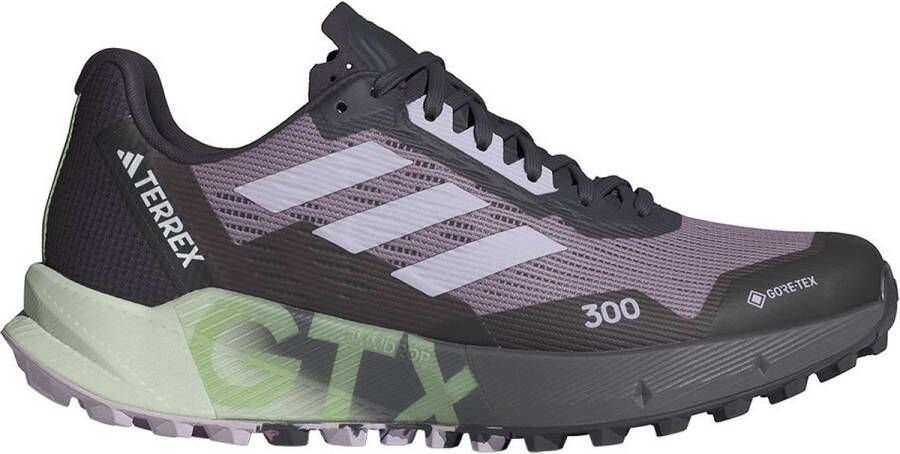 Adidas Terrex Agravic Flow 2 Goretex Trailrunningschoenen Grijs 1 3 Vrouw