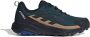 Adidas Terrex Anylander Rain.rdy Wandelschoenen Blauw Man - Thumbnail 1