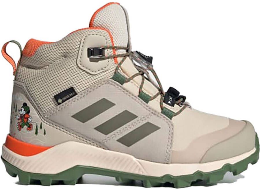 Adidas Terrex Disney Mid Goretex Wandelschoenen Grijs