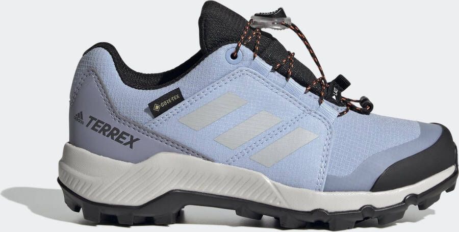 Adidas Terrex Kid's Terrex GTX Multisportschoenen grijs