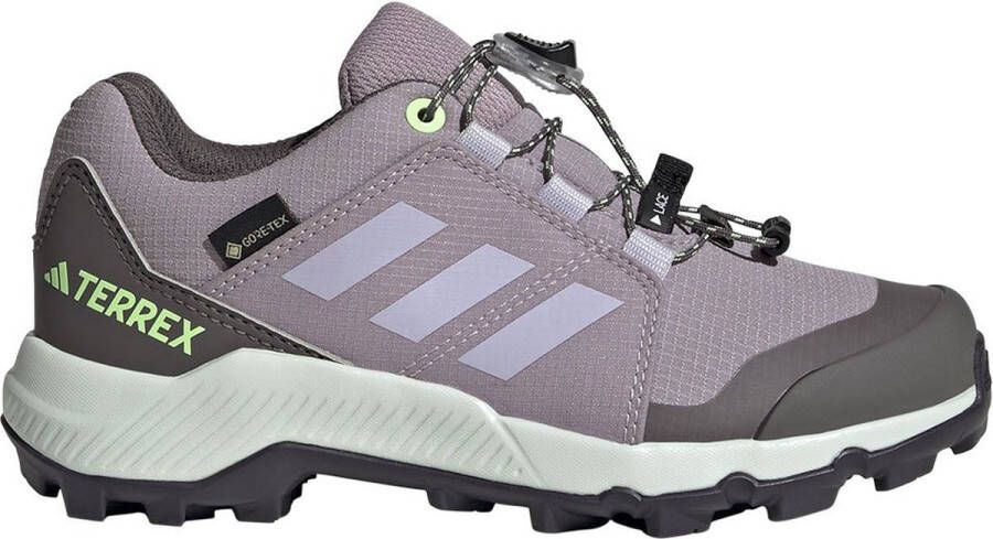Adidas Terrex Kid's Terrex GTX Multisportschoenen maat 10K grijs
