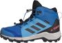 Adidas TERREX Mid GORE-TEX Hiking Schoenen Kinderen Blauw - Thumbnail 1