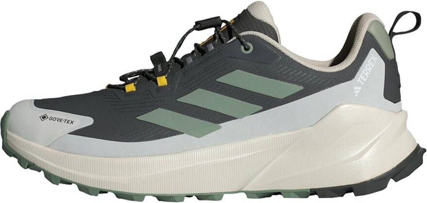 Adidas TERREX NATIONAL GEOGRAPHIC TERREX TRAILMAKER 2 GORE-TEX HIKINGSCHOENEN Heren Grijs