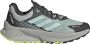 Adidas Terrex Women's Terrex Soulstride Flow GTX Trailrunningschoenen grijs - Thumbnail 1