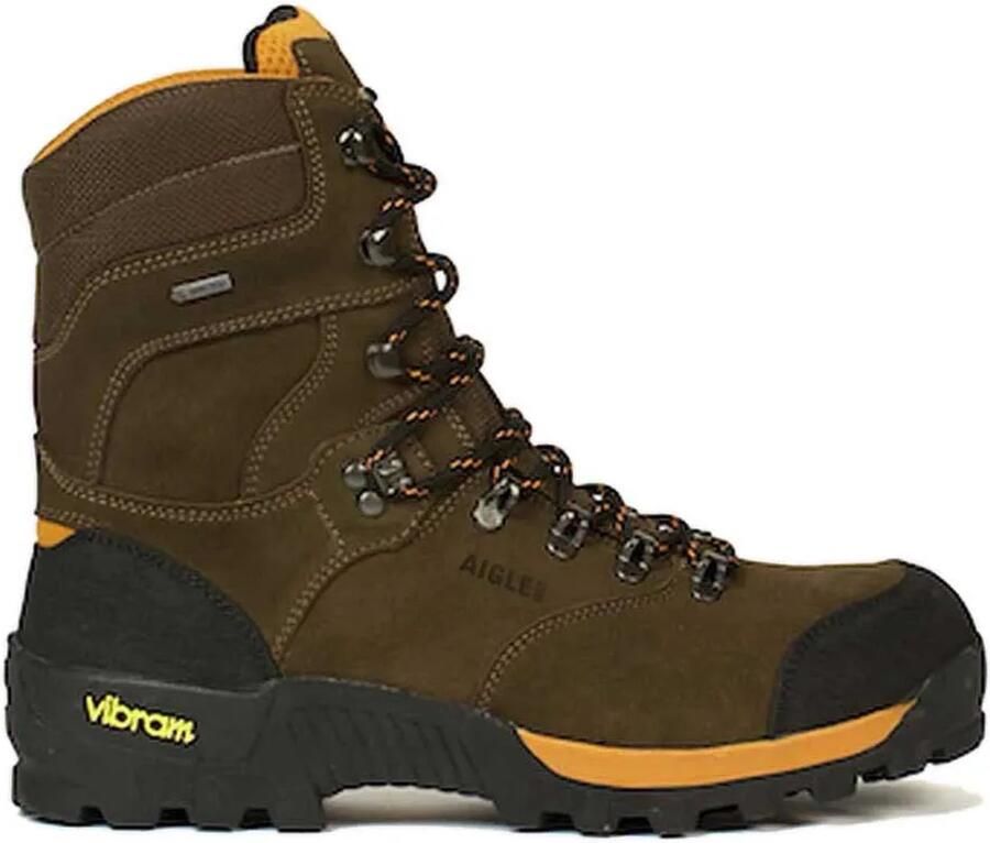 Aigle Altavio Hi Goretex Laarzen Bruin Man