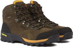 Aigle Altavio Mid Gore-tex Laarzen Bruin Man