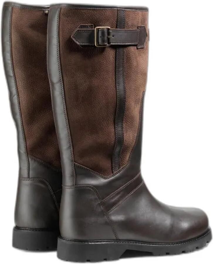 Aigle Inverss Gore-tex Laarzen Bruin Man