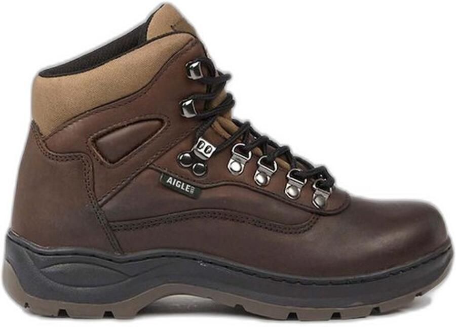 Aigle Picardie Wandelschoenen Brown
