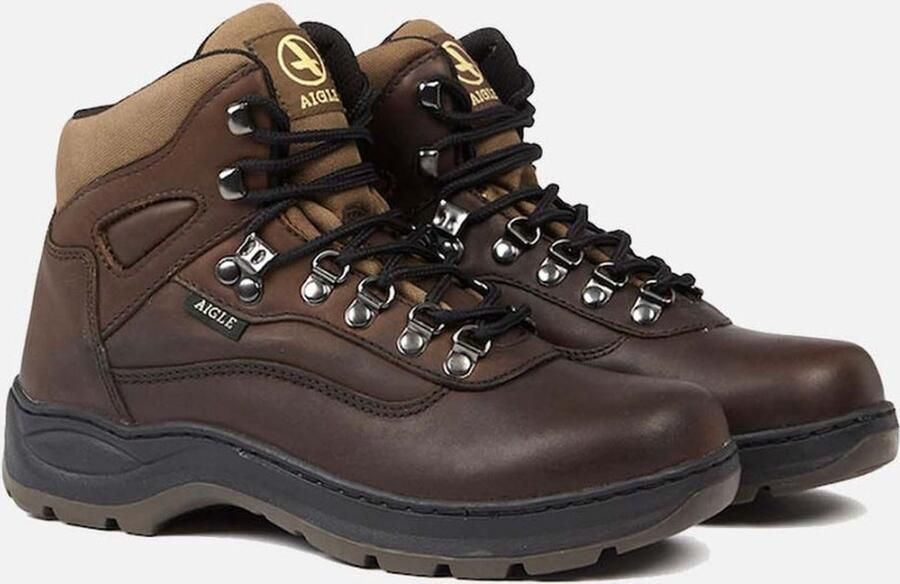 Aigle Picardie Wandelschoenen Brown