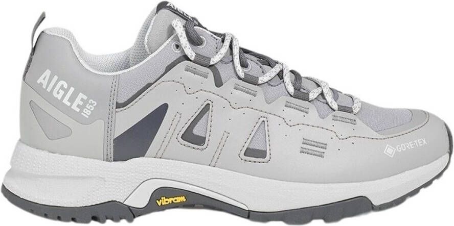 Aigle Pariot Goretex Schoenen Grijs Man