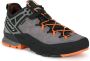 Aku Rock Dfs Ii Goretex Approachschoenen Grijs 1 2 Man - Thumbnail 1