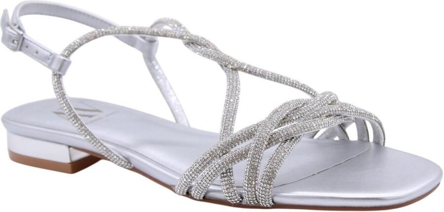 Albano Vanity Schoenen Zilver Vrouwen