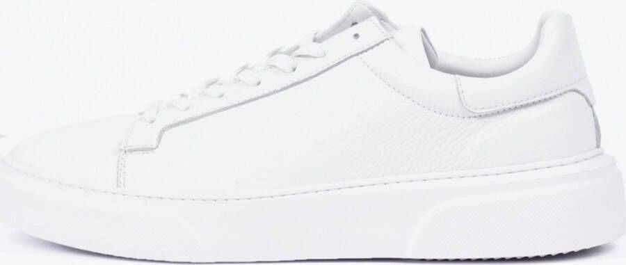 Alfie Walker Classic Whites