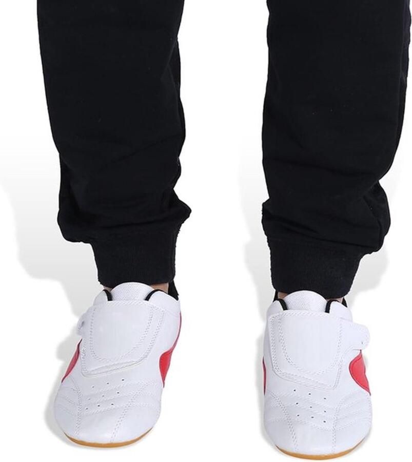 Allecto Plus Unisex Tai Chi Karateschoenen voor en