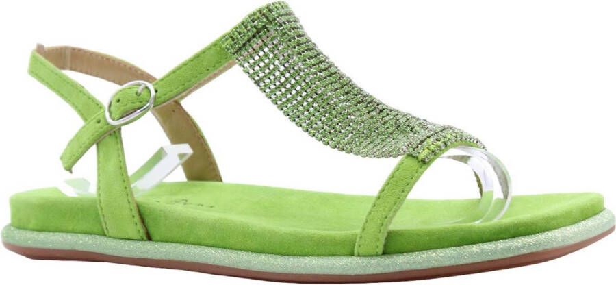 Alma en Pena Flat Sandals Green Dames