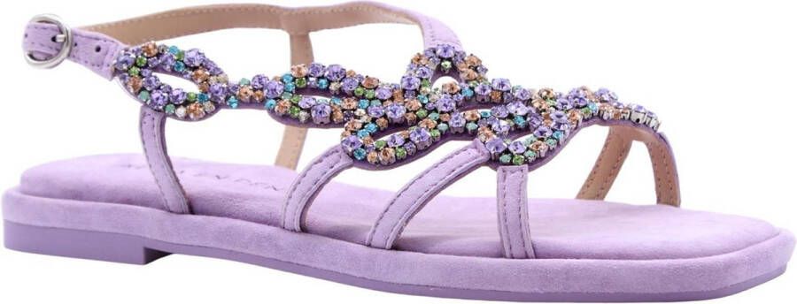 Alma en Pena Vierkante teen juweel platte sandaal Purple Dames