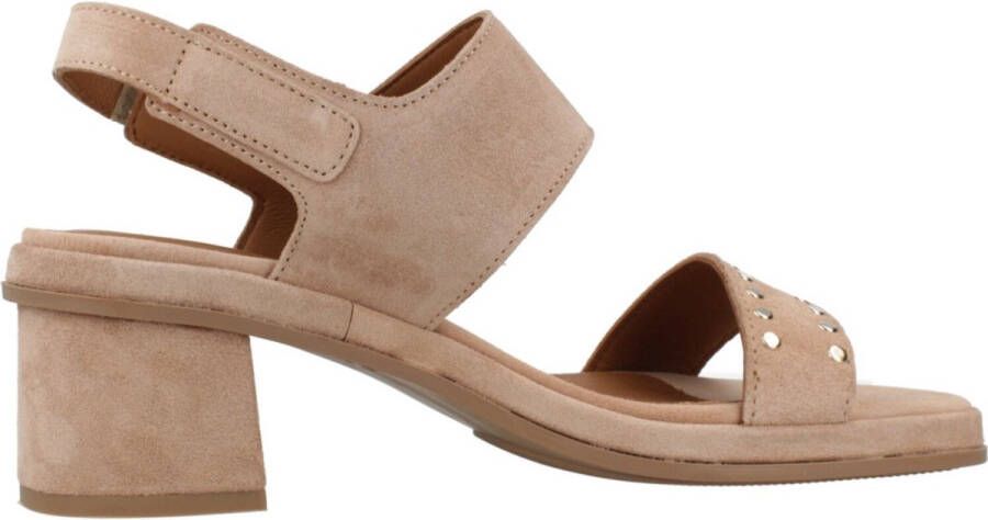Alpe 5480 11 Roze