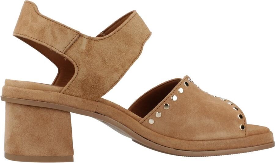 Alpe 5479 11 Bruin