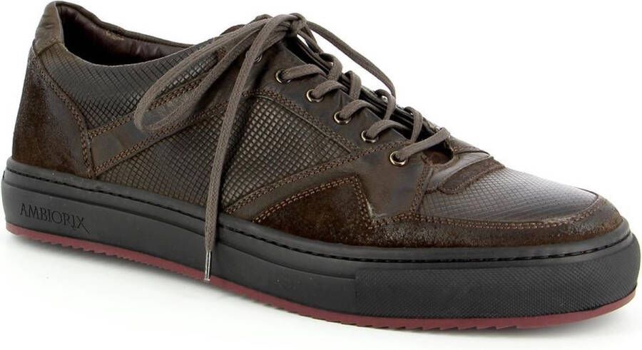 Ambiorix Brindisi 1 Bruin