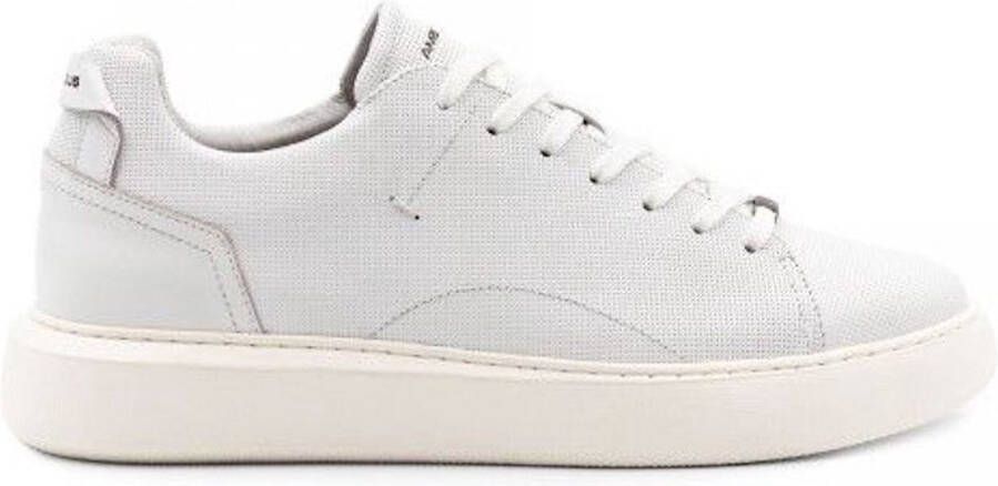 Ambitious Witte geperforeerde leren sneakers White Heren