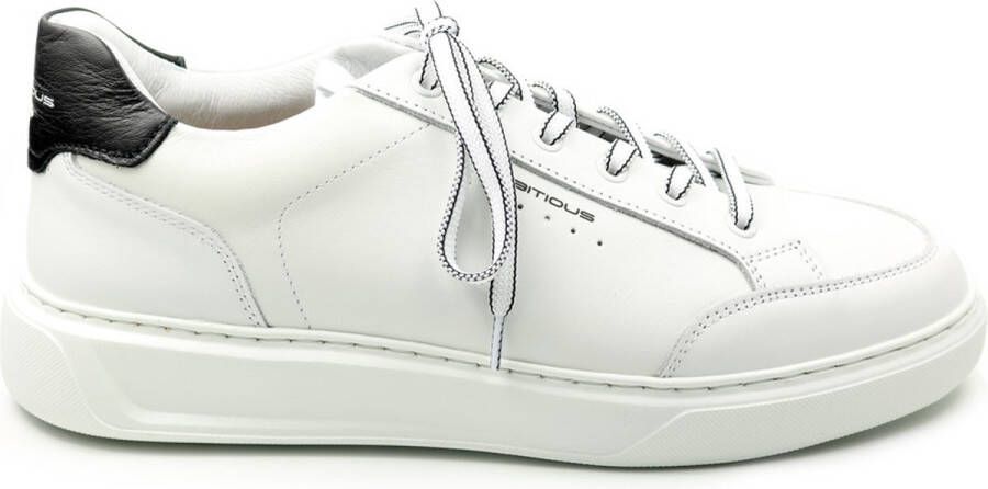 Ambitious Witte leren sneakers met zwarte hielinzet White Heren