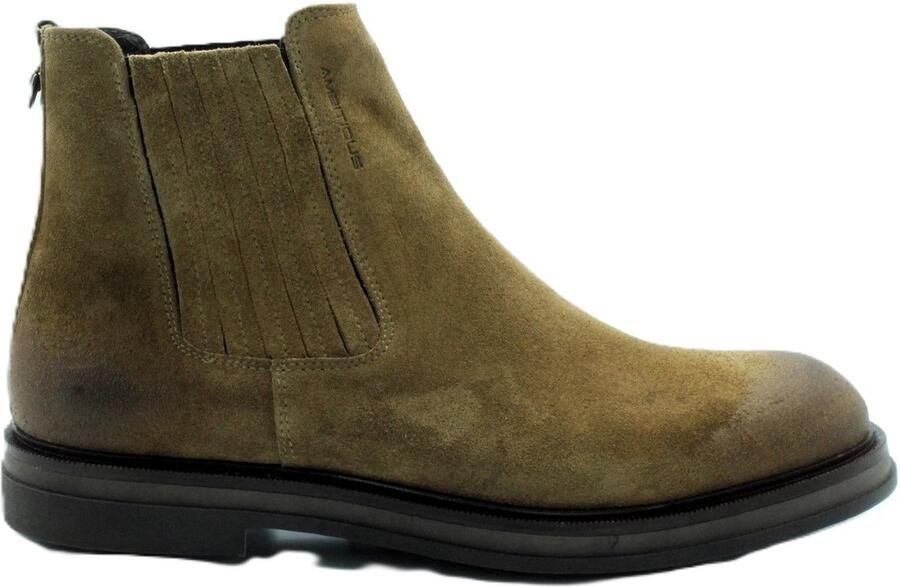 AMBITIOUS BTR Chelseaboots