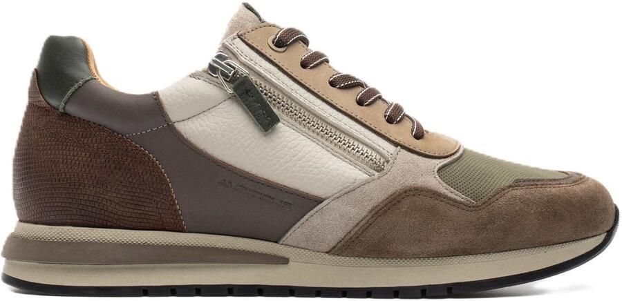 AMBITIOUS Temple (13719TA)