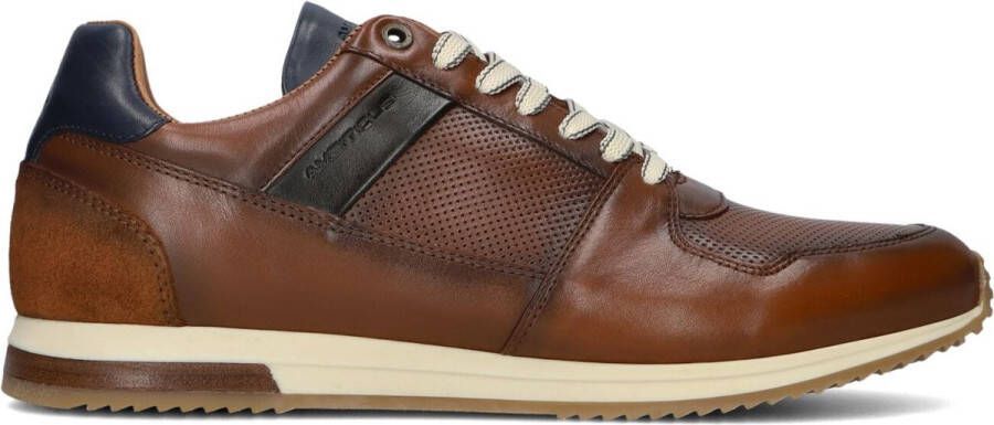 AMBITIOUS Slow Sneakers Heren Leren Sneaker Bruin