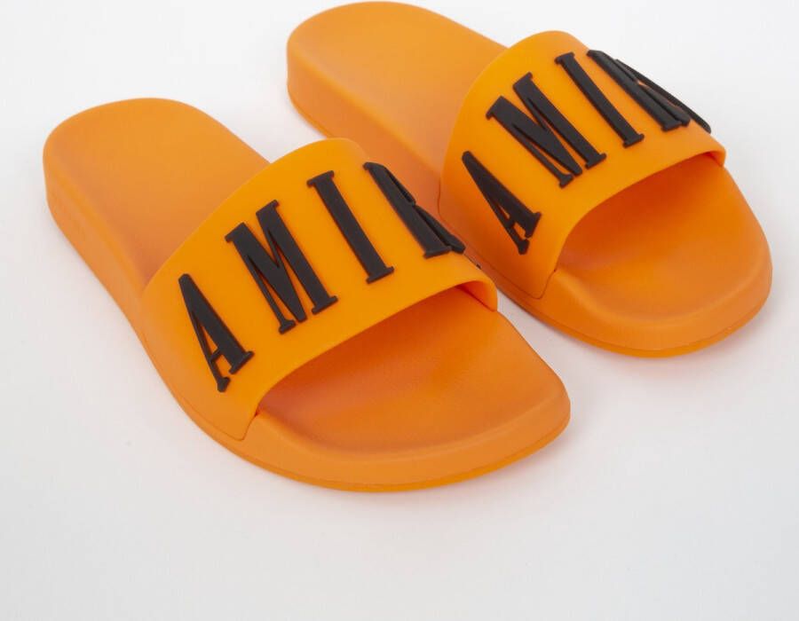 Amiri Logo slides
