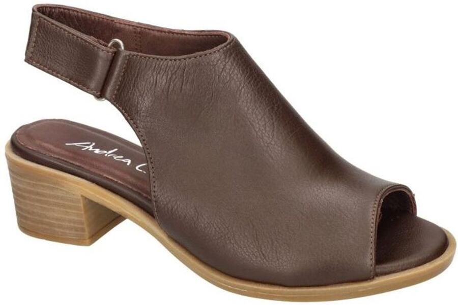 Andrea Conti -Dames bruin donker bottines