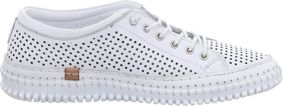 Andrea Conti Lage Sneakers Halfhoge schoenen