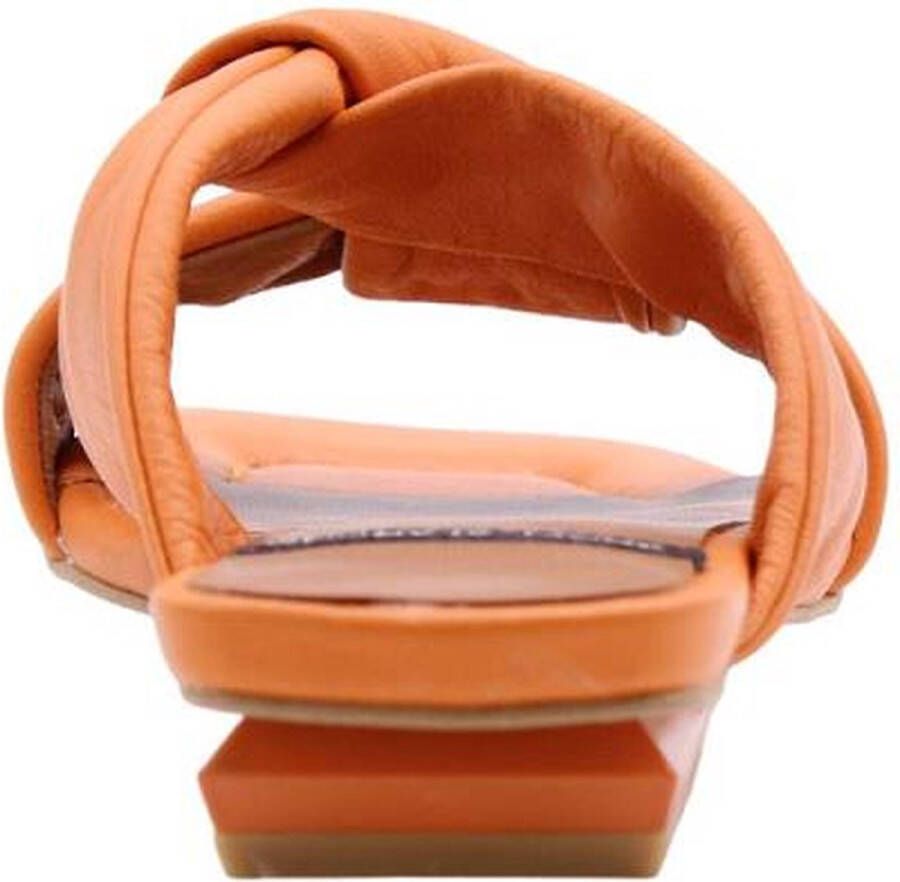 Angel Alarcon Muilezels Oranje Dames