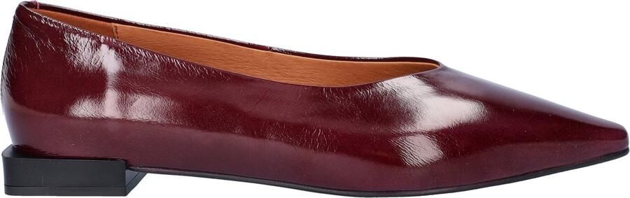 Angel Alarcon Nayu ballerinas & instappers