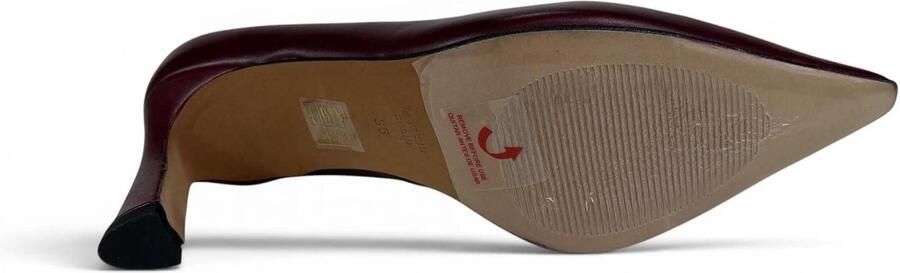 Angel Alarcon PUMP 25552