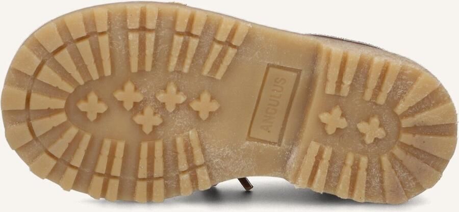 Angulus Angul Veterschoenen Jongens Taupe - Foto 2